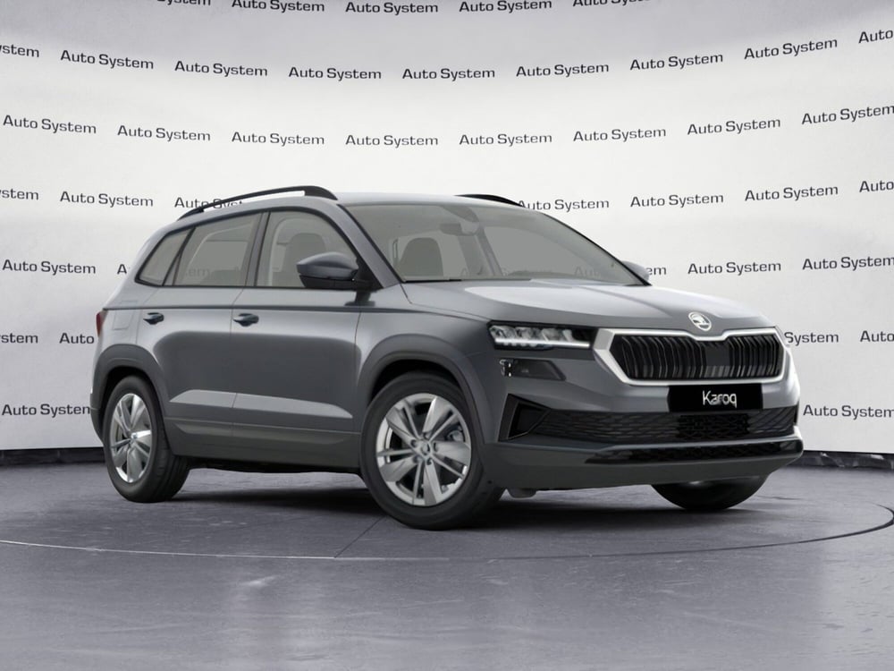 Skoda Karoq usata a Palermo