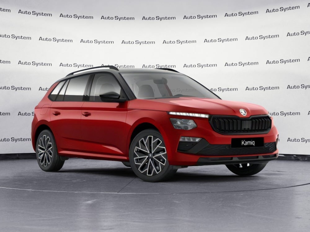 Skoda Kamiq usata a Palermo