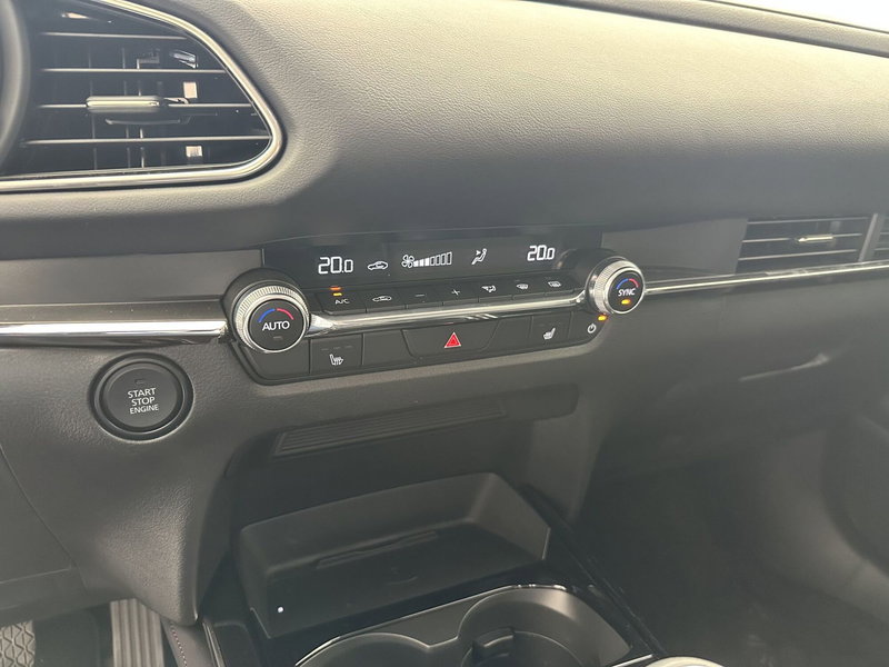 Mazda CX-30 usata a Latina (14)