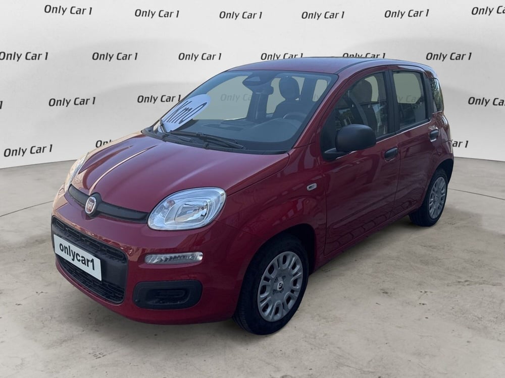 Fiat Panda Cross nuova a Ferrara (3)
