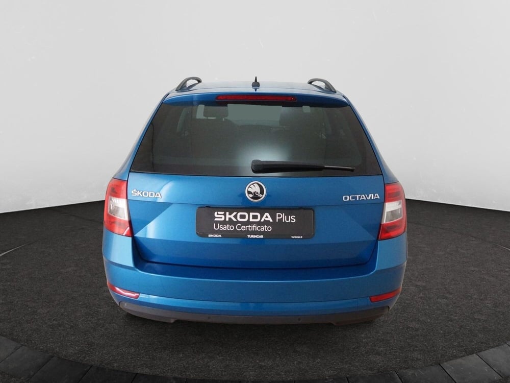 Skoda Octavia usata a Torino (5)
