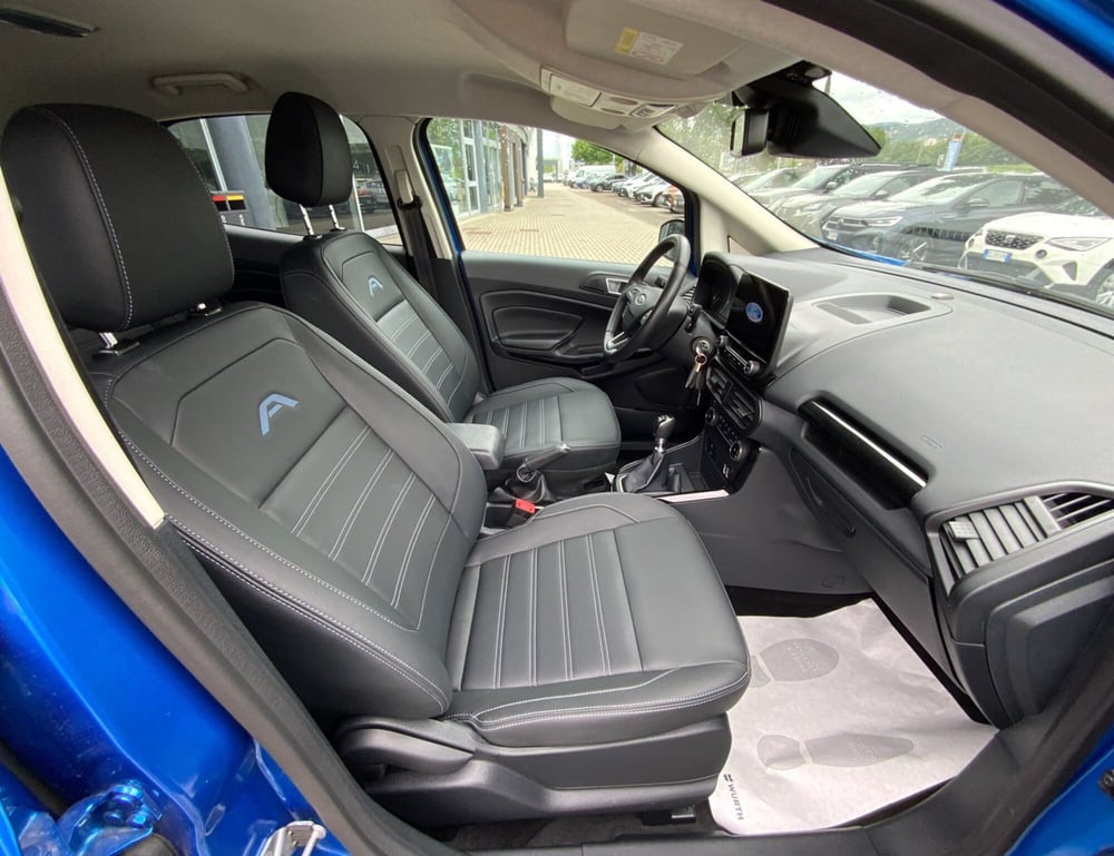 Ford EcoSport usata a Arezzo (13)