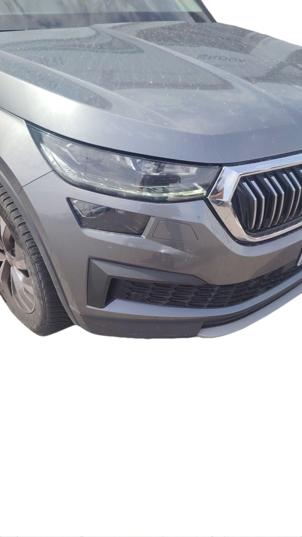 Skoda Kodiaq usata a Reggio Calabria (6)
