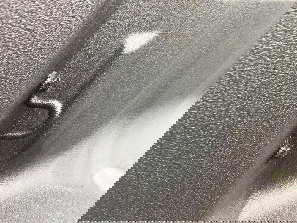 Great Wall Steed Pick-up nuova a Cuneo (14)