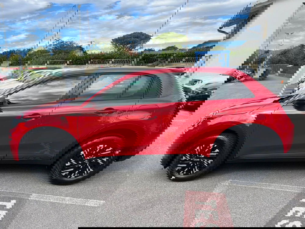 Fiat 600 nuova a Lucca (8)