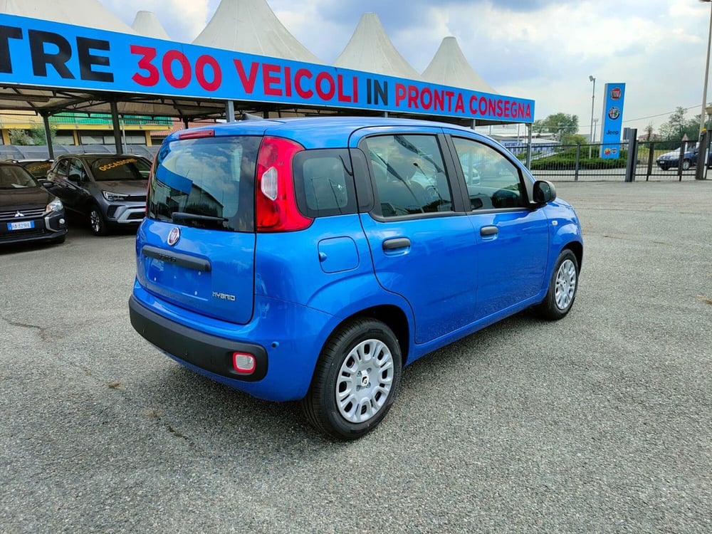 Fiat Panda Cross nuova a Torino (5)