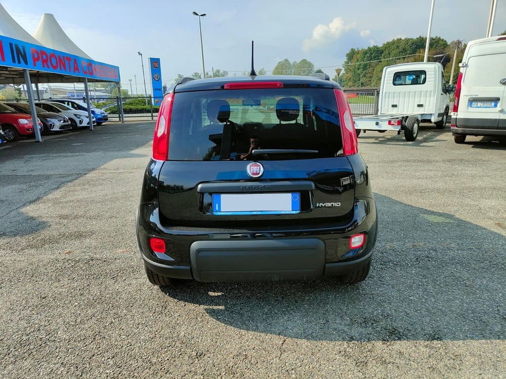 Fiat Panda usata a Torino (6)
