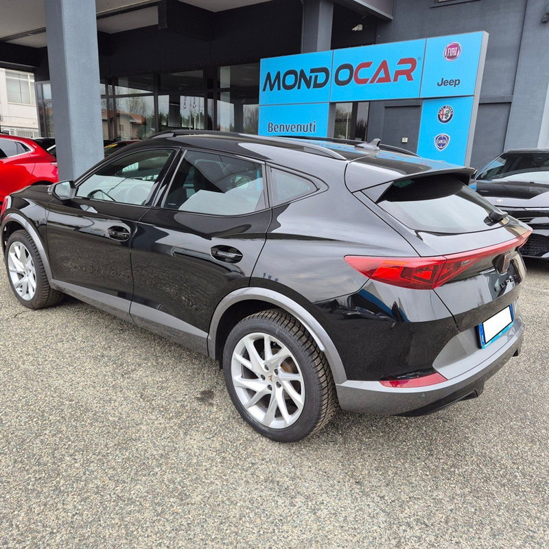 Cupra Formentor usata a Torino (15)
