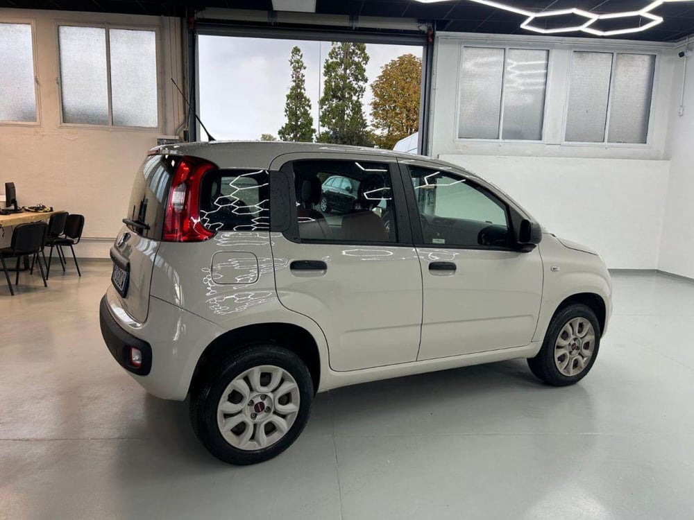 Fiat Panda usata a Reggio Emilia (4)