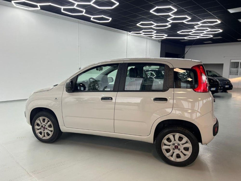 Fiat Panda usata a Reggio Emilia (7)