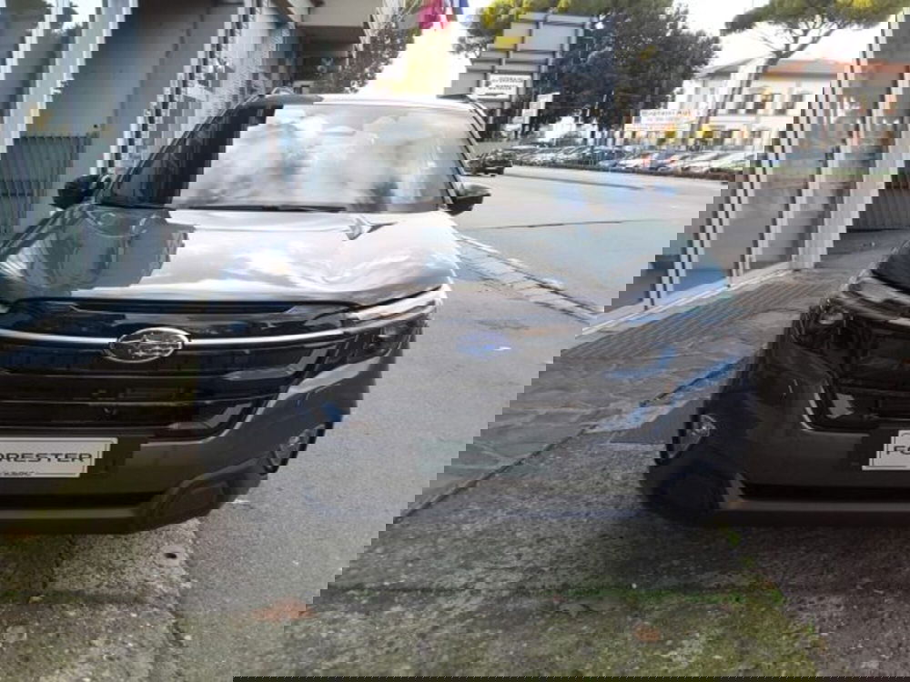 Subaru Forester nuova a Firenze (3)