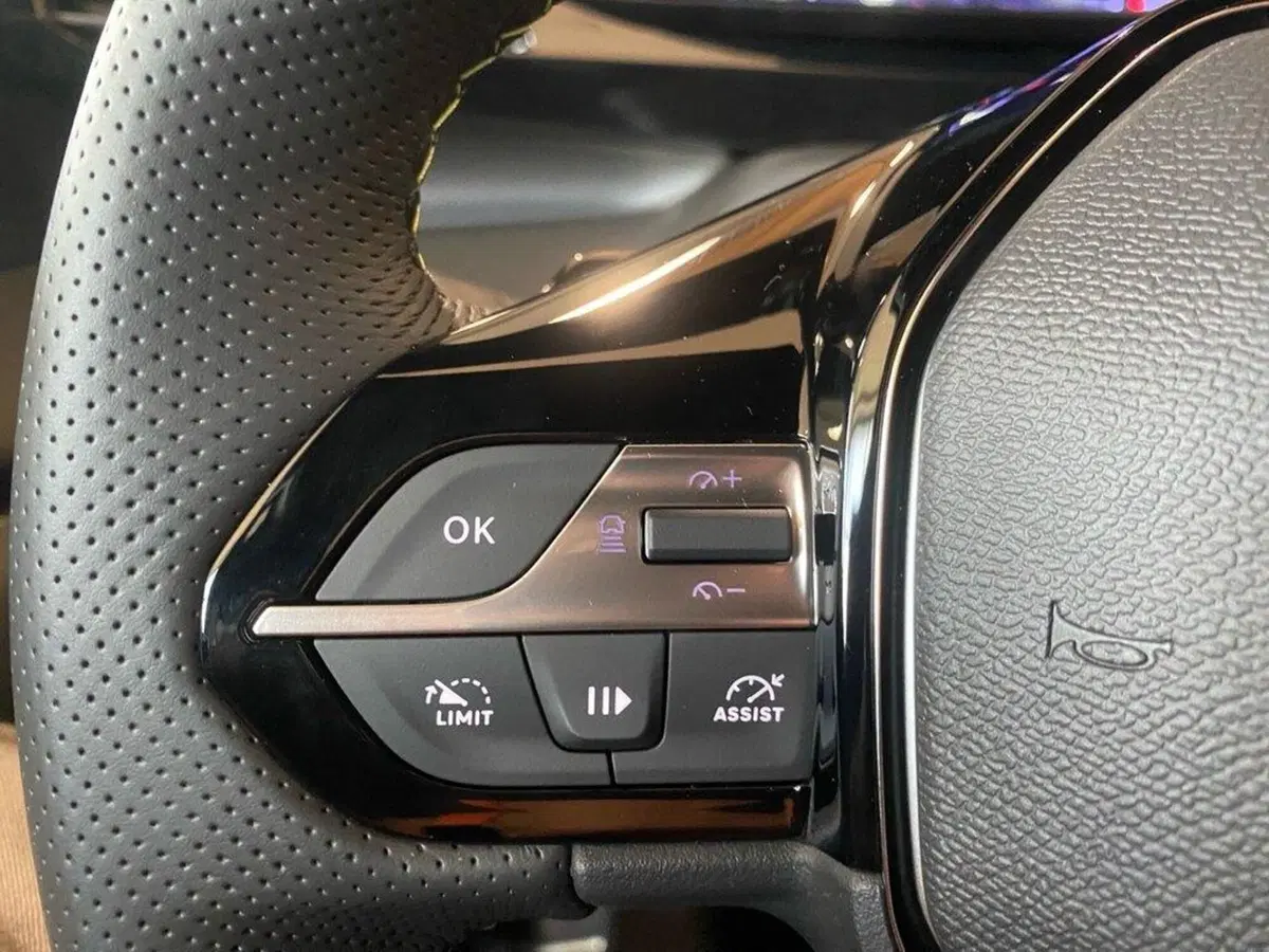 Peugeot 308 SW nuova a Torino (12)