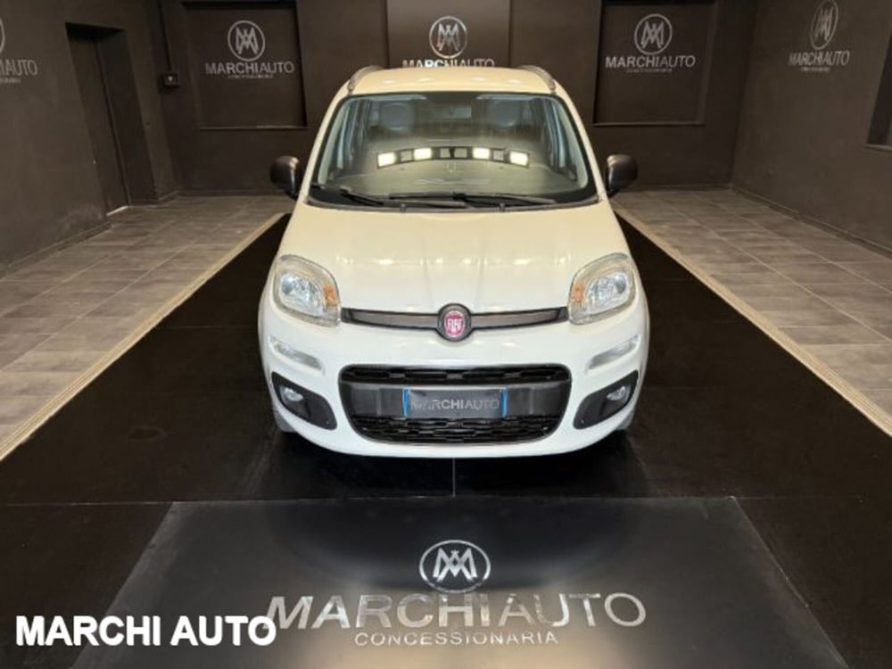 Fiat Panda usata a Perugia (2)