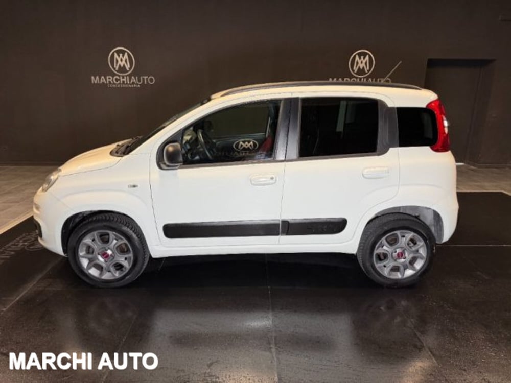 Fiat Panda usata a Perugia (8)