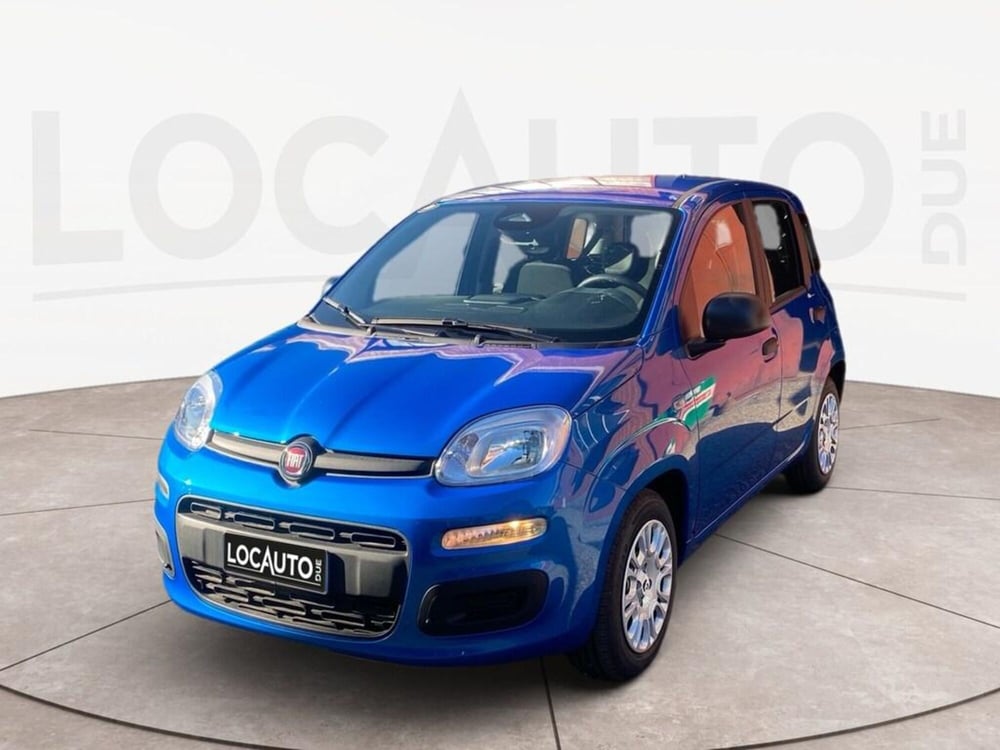 Fiat Panda Cross nuova a Torino