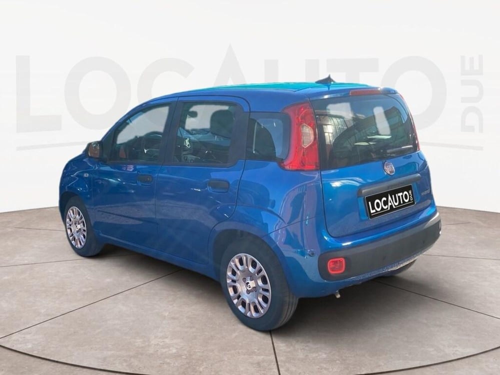 Fiat Panda Cross nuova a Torino (5)
