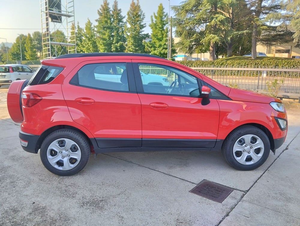 Ford EcoSport usata a Asti (5)