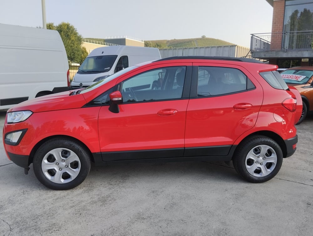 Ford EcoSport usata a Asti (6)