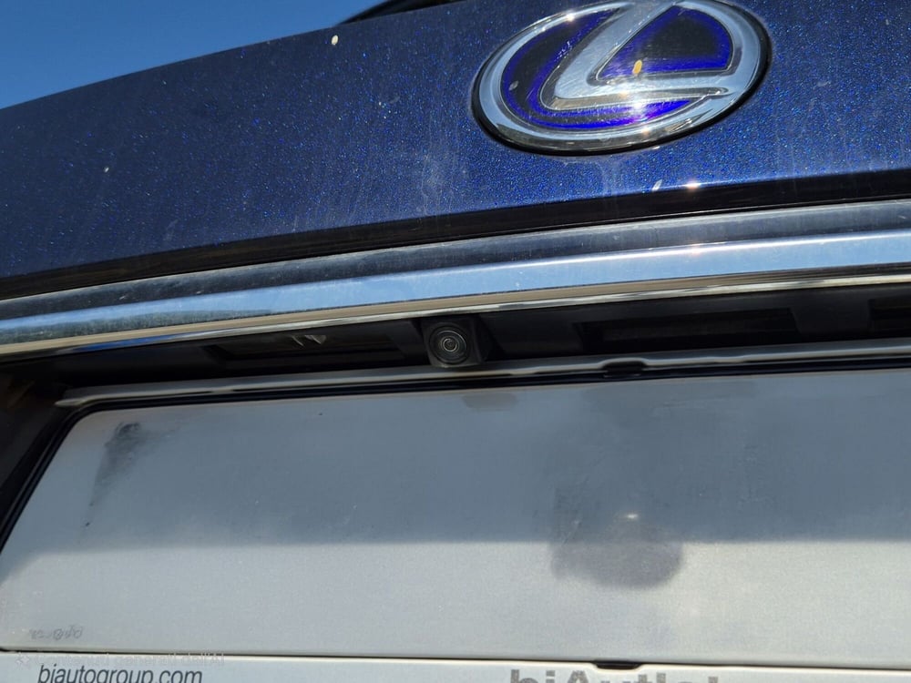 Lexus RX usata a Genova (16)