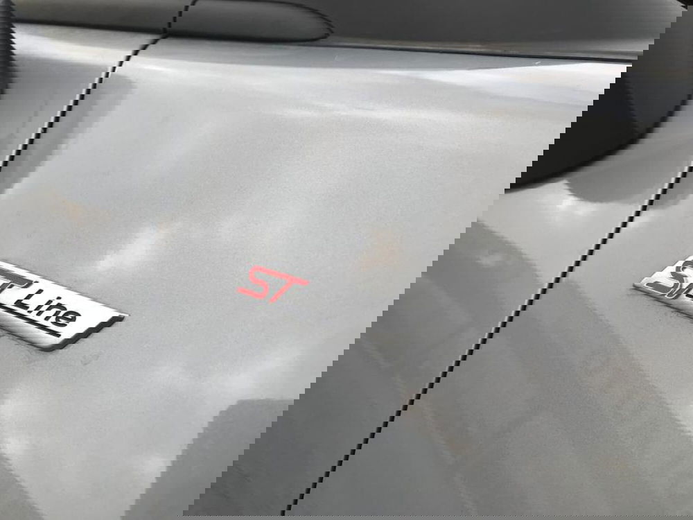 Ford Puma nuova a Cuneo (7)