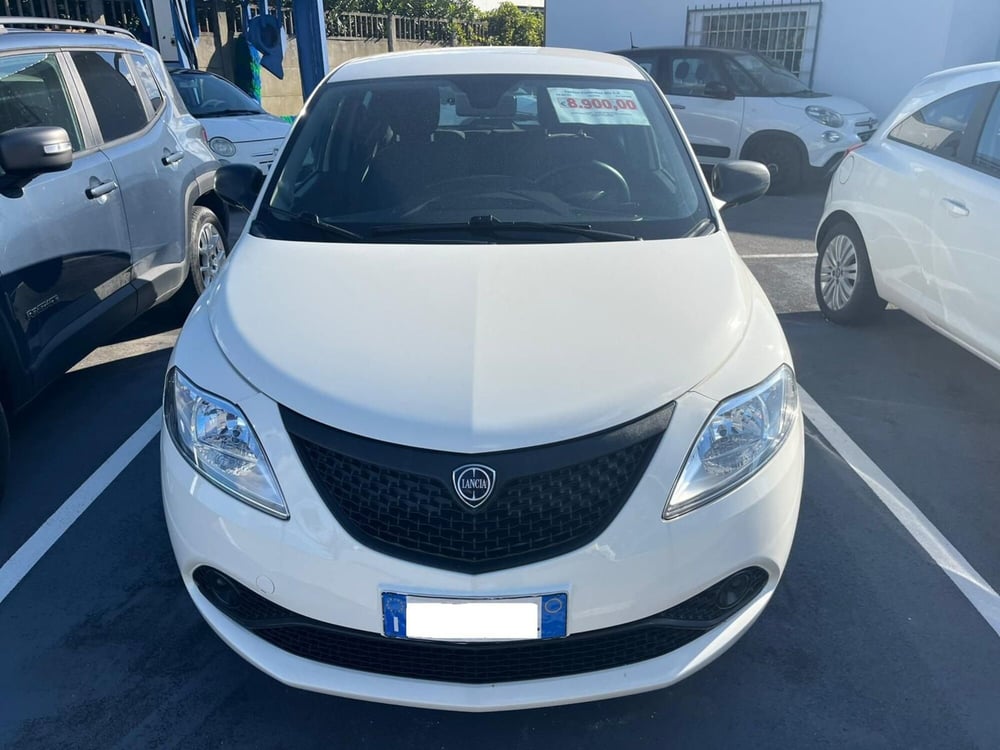 Lancia Ypsilon usata a Lucca (2)