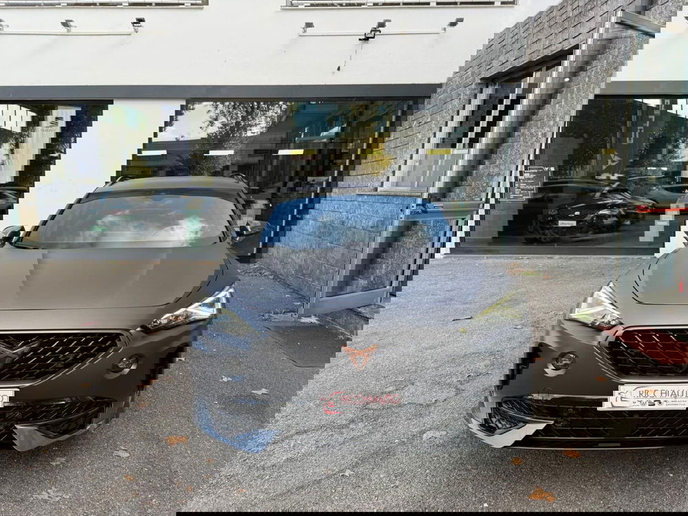 Cupra Formentor usata a Monza e Brianza (6)