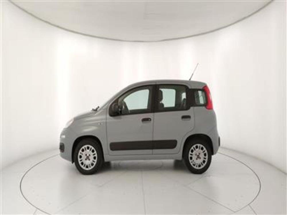 Fiat Panda usata a Bari (3)