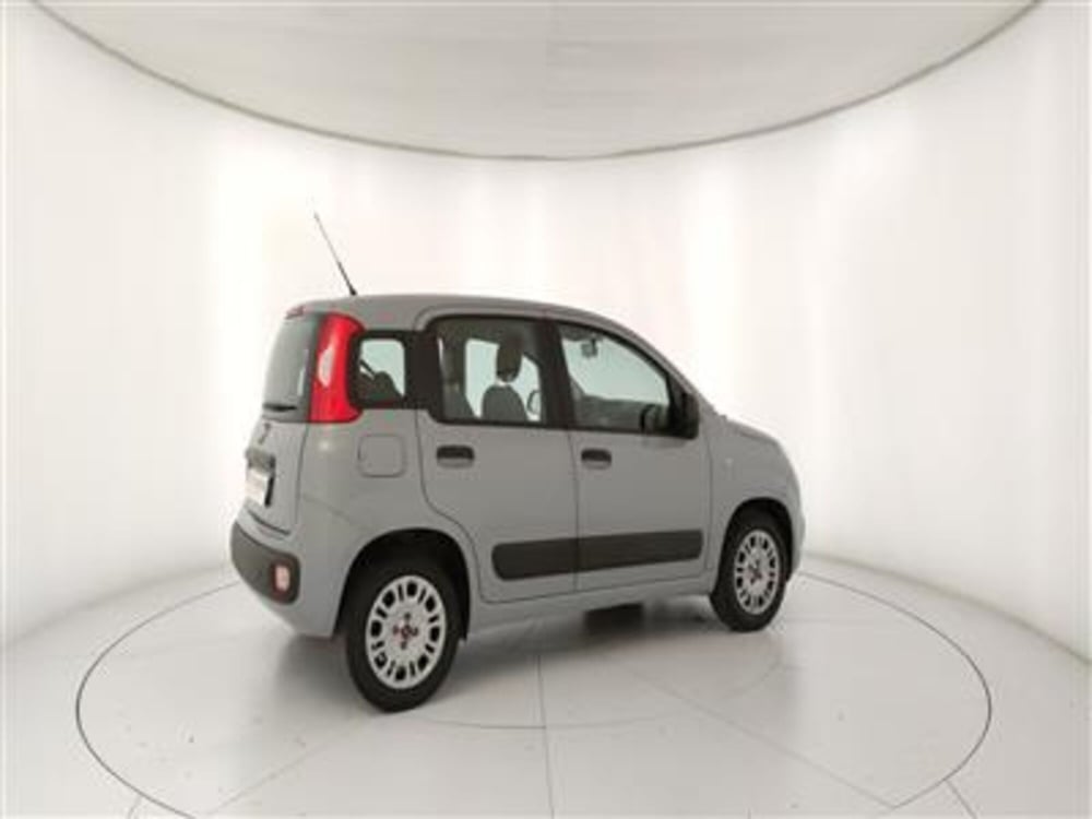 Fiat Panda usata a Bari (8)