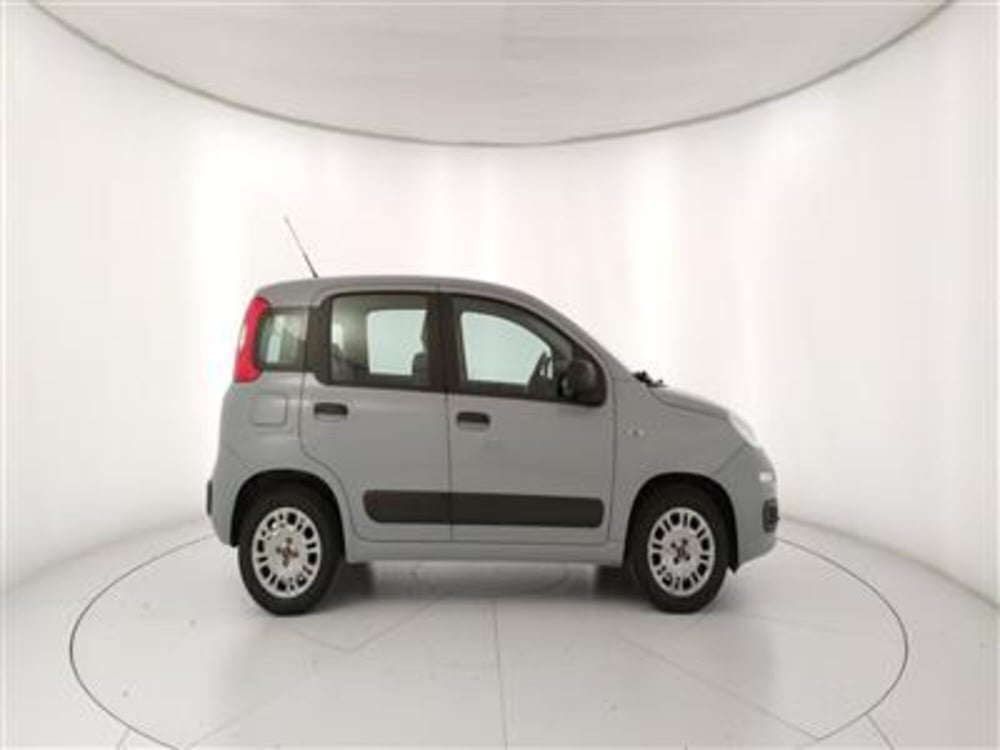 Fiat Panda usata a Bari (9)