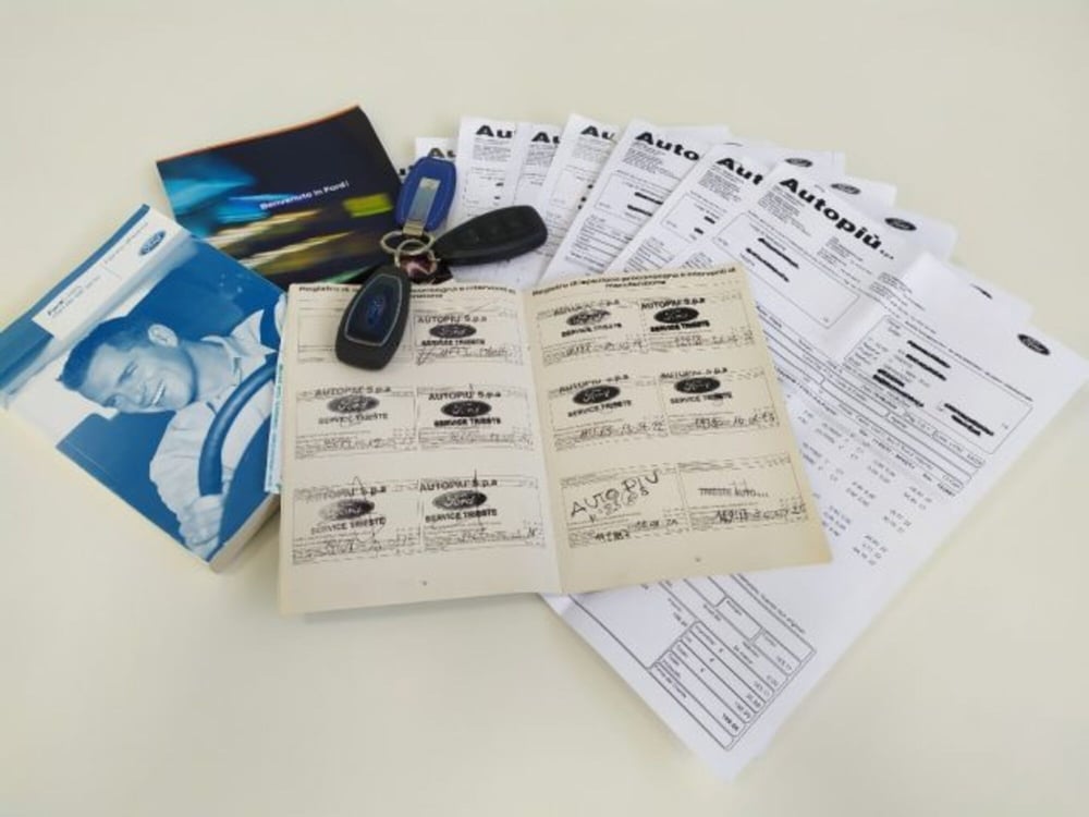 Ford C-Max usata a Trieste (16)