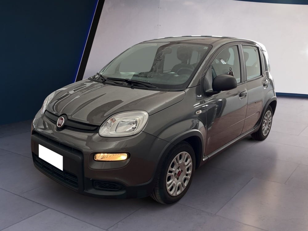 Fiat Panda usata a Torino (2)