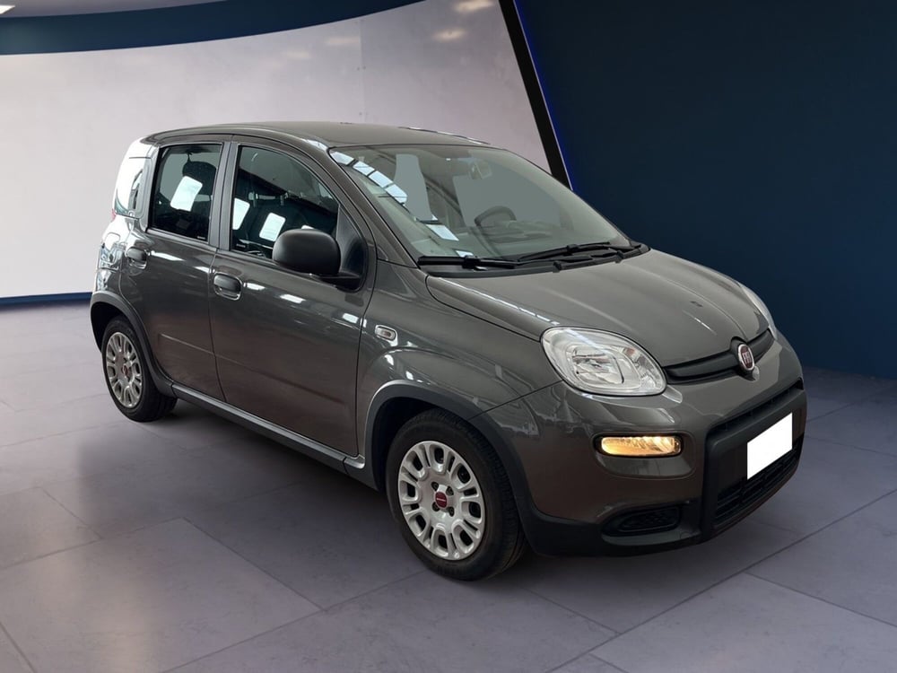 Fiat Panda usata a Torino (3)