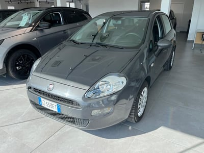 Fiat Punto 1.2 8V 5 porte Street del 2015 usata a Milano