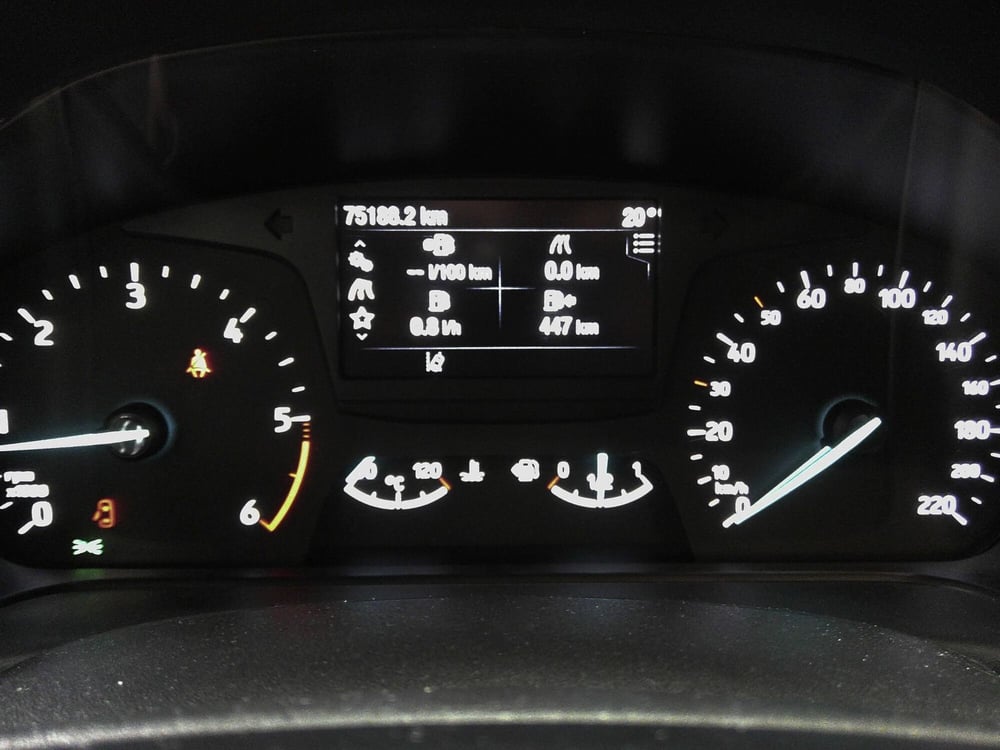 Ford Fiesta usata a Treviso (19)