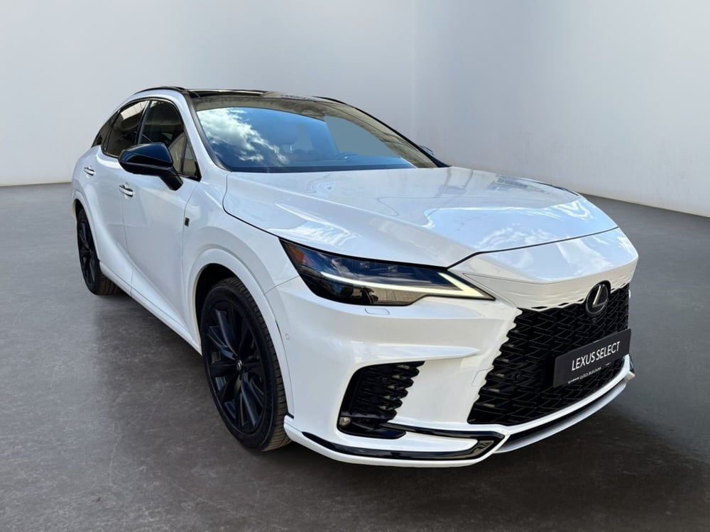 Lexus RX usata a Modena (3)