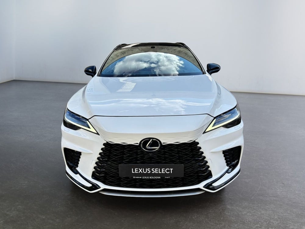 Lexus RX usata a Modena (4)