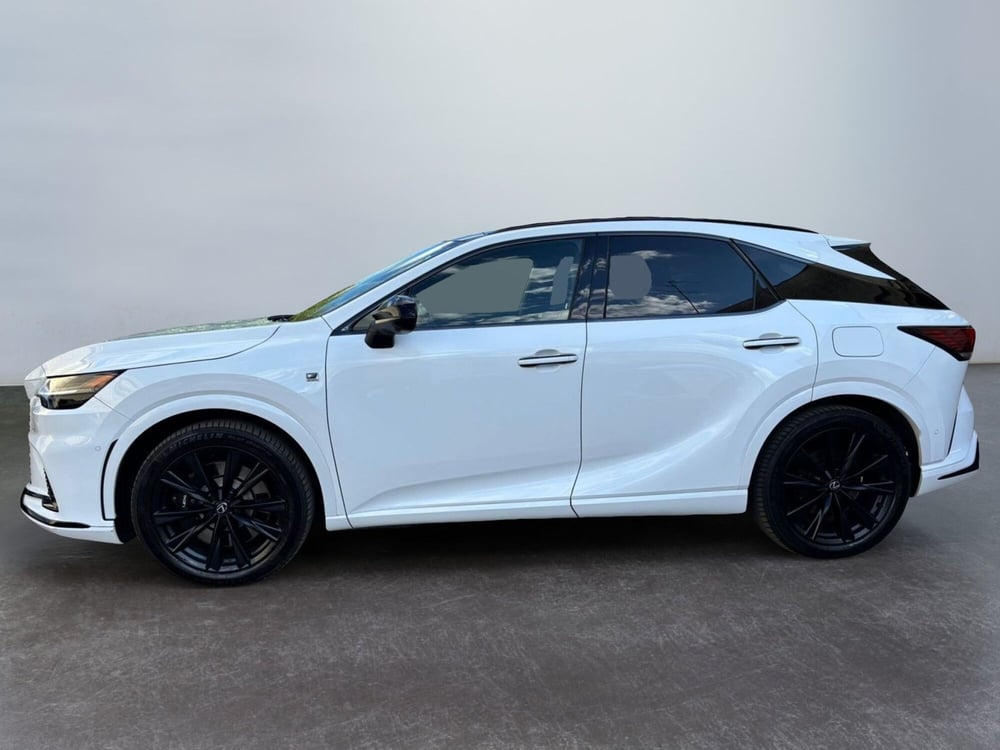 Lexus RX usata a Modena (5)