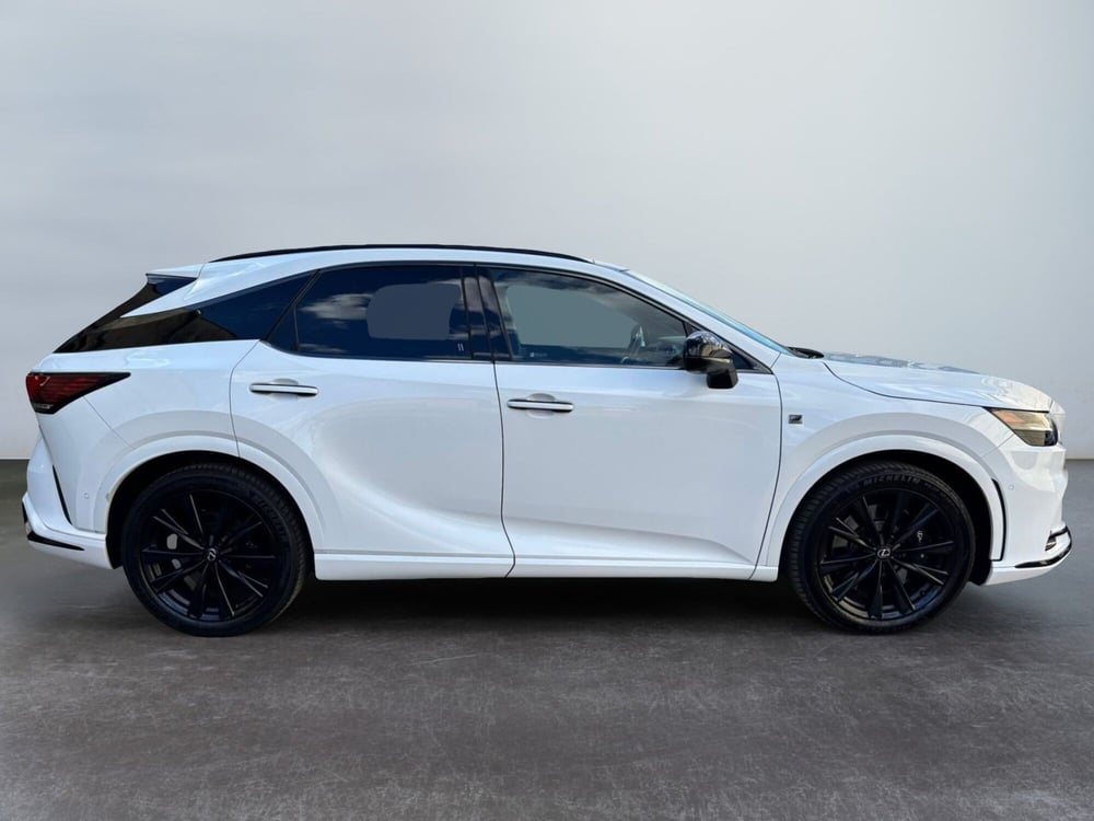 Lexus RX usata a Modena (6)
