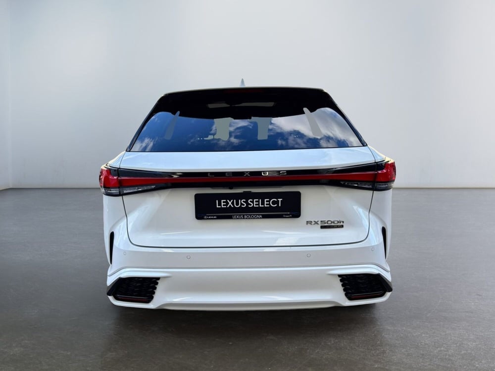 Lexus RX usata a Modena (7)
