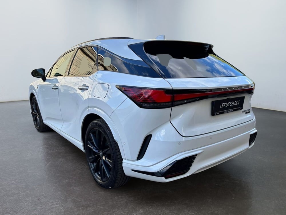 Lexus RX usata a Modena (8)