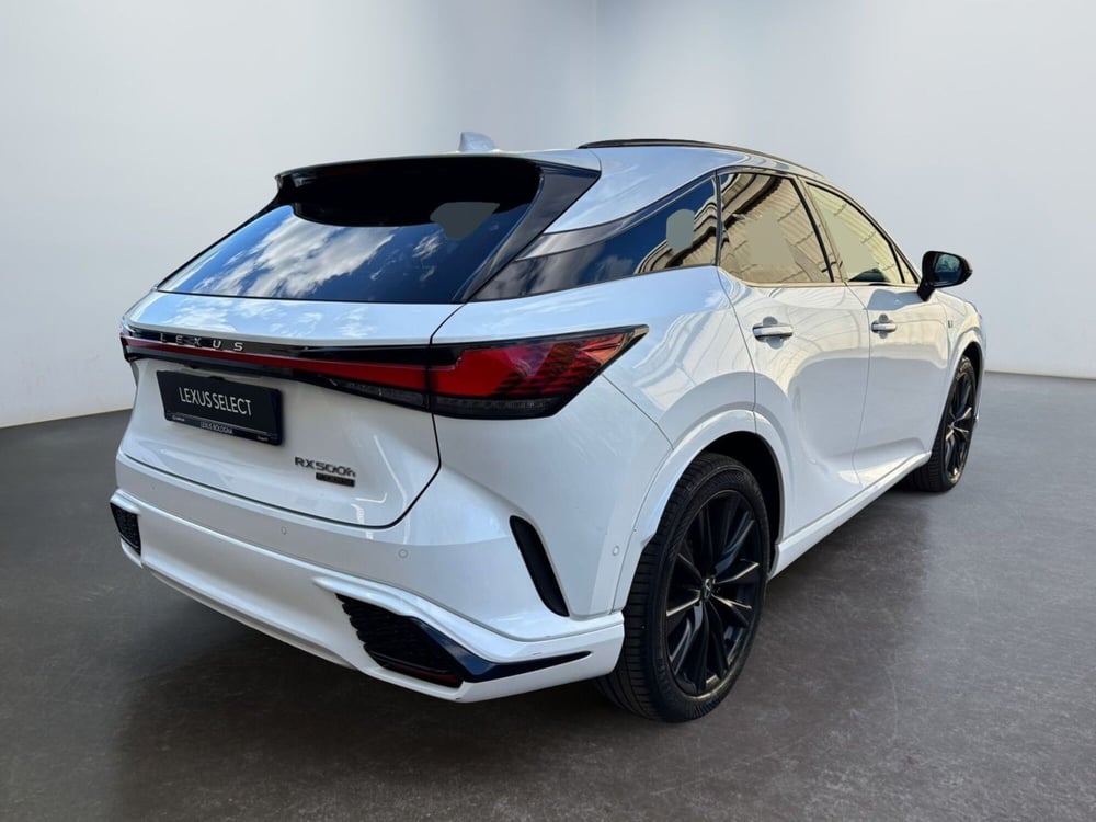 Lexus RX usata a Modena (9)