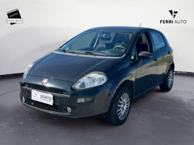 Fiat Punto 1.4 8V 5 porte Natural Power Young del 2015 usata a Villorba