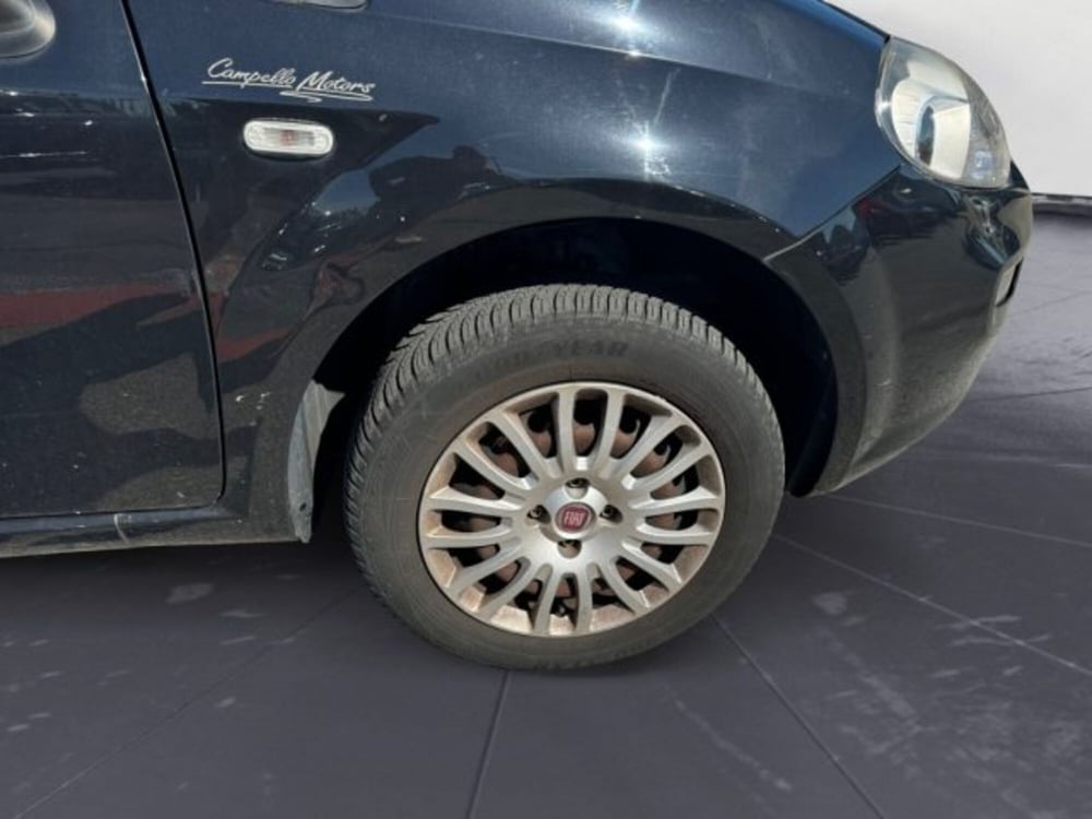 Fiat Punto usata a Treviso (15)