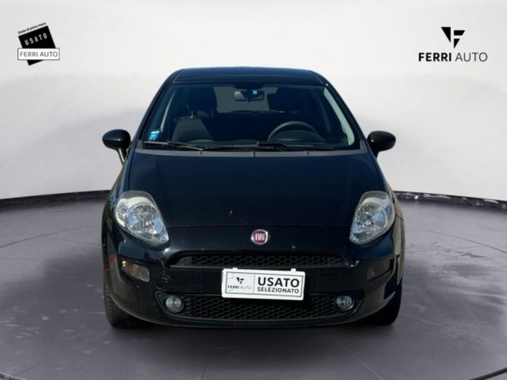 Fiat Punto usata a Treviso (2)