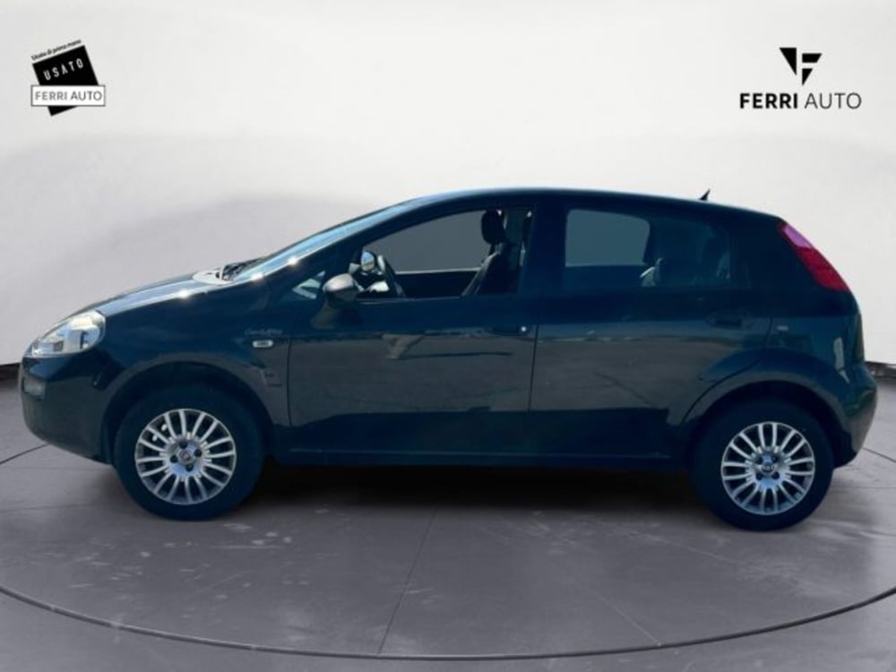Fiat Punto usata a Treviso (5)
