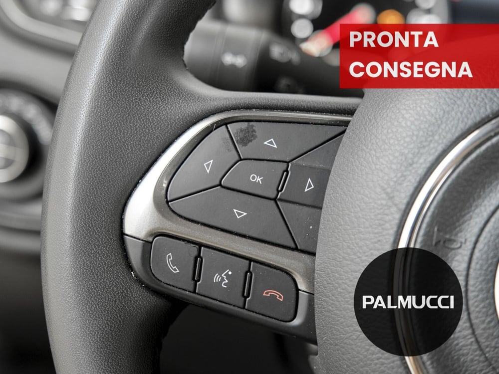 Jeep Renegade usata a Prato (16)