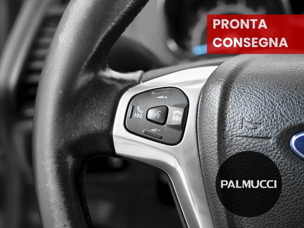 Ford EcoSport usata a Prato (14)