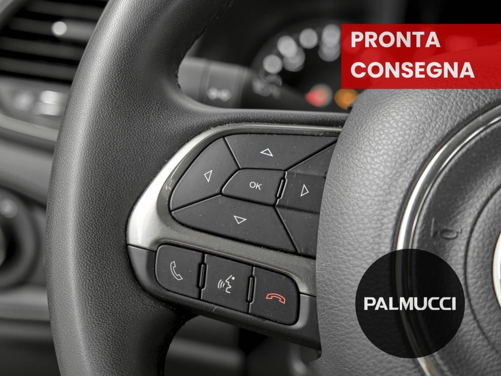Jeep Renegade usata a Prato (14)
