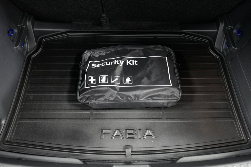 Skoda Fabia usata a Varese (19)