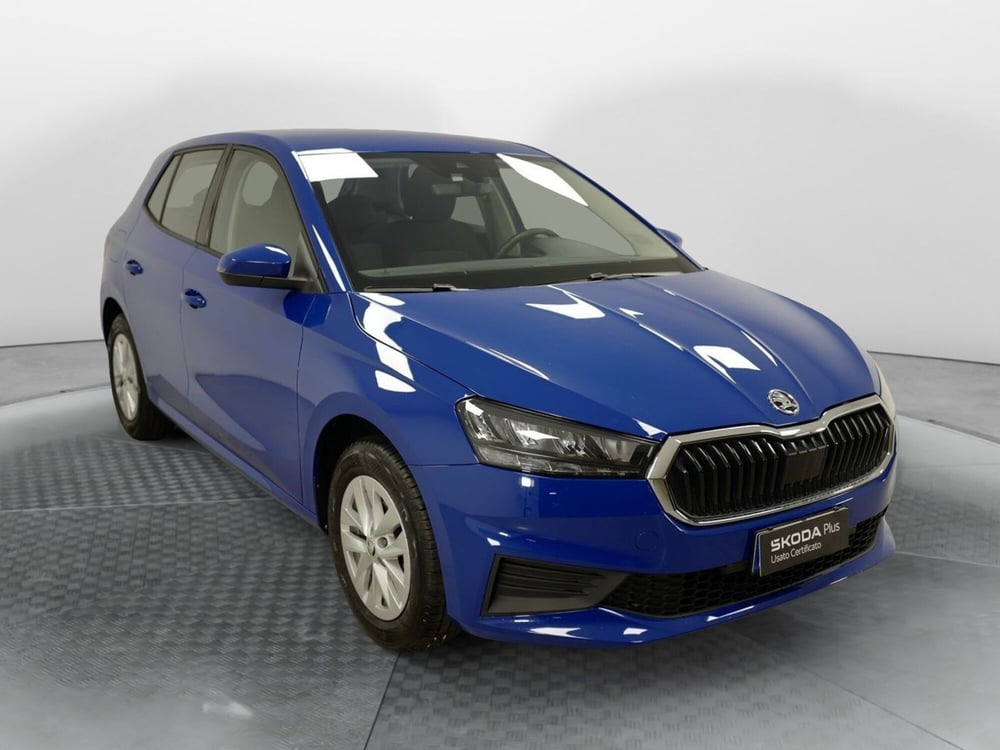 Skoda Fabia usata a Varese (3)